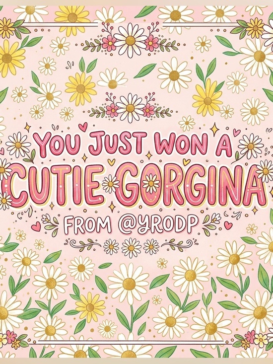 aerie Tops - YOU JUST WON A CUTIE GORGINA FROM @YRODP 🌼 🦋